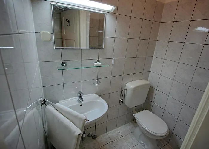 Rosemary & 3* 木洛希尼